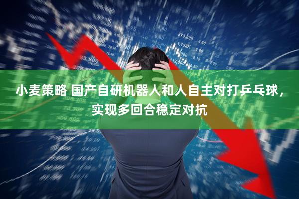 小麦策略 国产自研机器人和人自主对打乒乓球，实现多回合稳定对抗