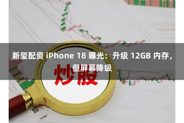 新玺配资 iPhone 18 曝光：升级 12GB 内存，但屏幕降级